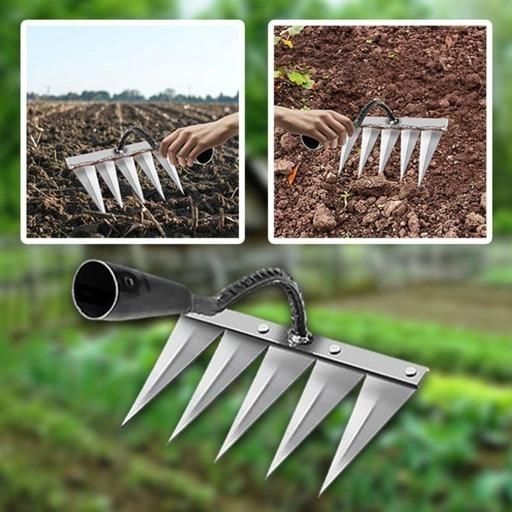 Garden Weeding